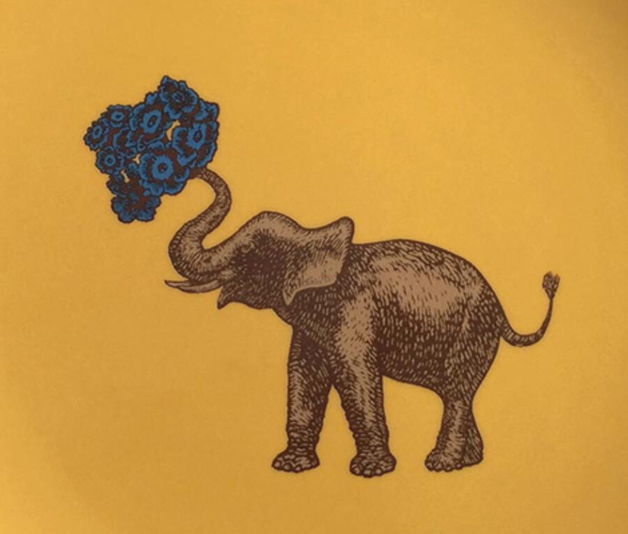 Avenida Home Assiette Puddin Head Elephant